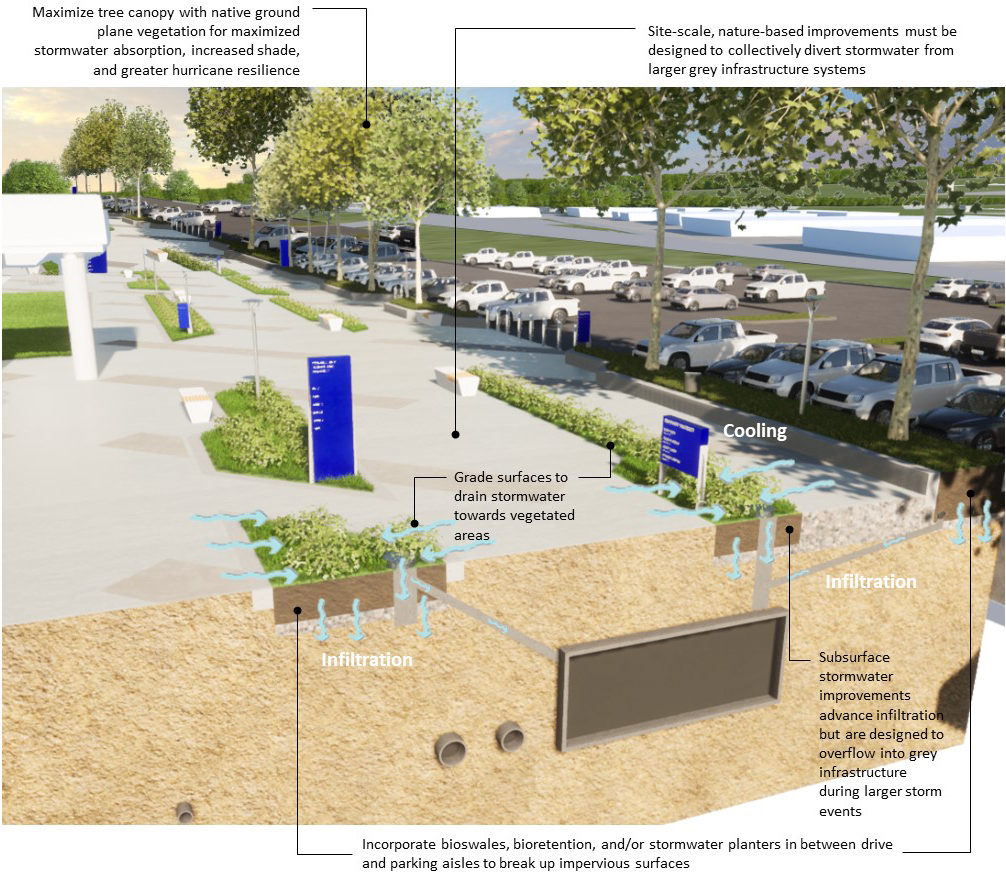 Exhibit C04-7. Typical Multi-Modal Spine Stormwater Management Section