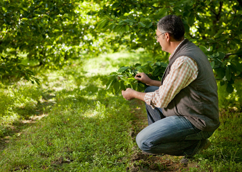 D-landscape_contractor_pgD-9